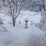 Shelley Appartement *