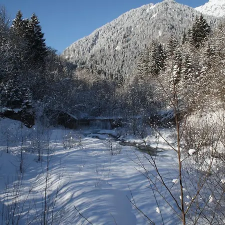 Apartament Shelley *