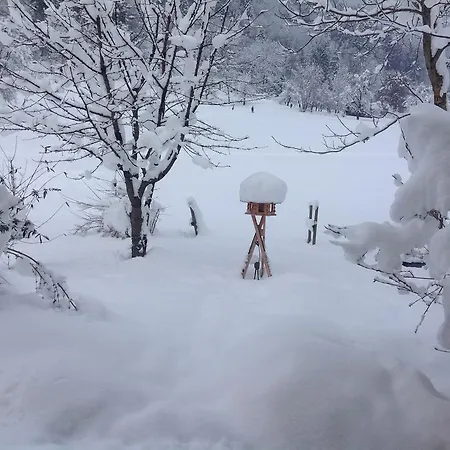 Shelley Appartement *