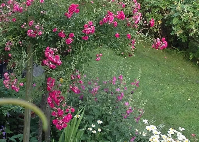 Lejlighed Shelley Vandans